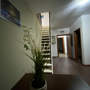 Soba 104